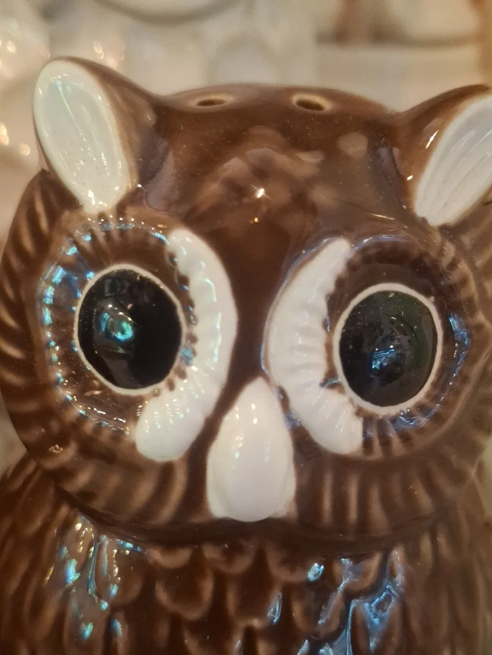 Brown Ceramic Owl Salt & Pepper Shakers